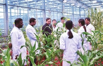 �r�I�r�岿�c�ͻ�˹̹���ҼZʳ��ȫ�c�о�������ֲ�ﲡ�x�����κ����f�h