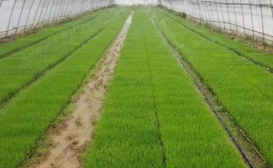 ȫ���絾���a�r�Y�������� �h�l�r�Y�\ݔ���F������ͨ