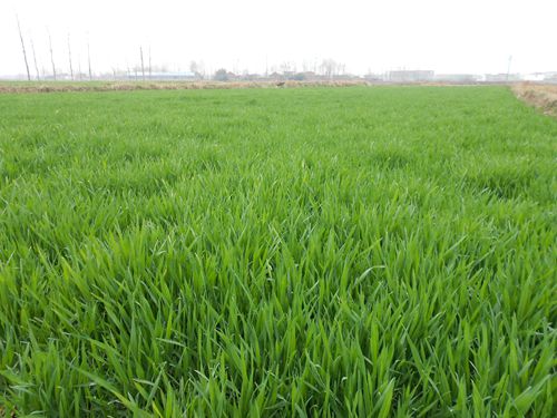 �y(t��ng)�Iץ��������غ�С���Ͳ˴������g���� ���M�^��(zh��n)100��Z�ļZ�S���Є�