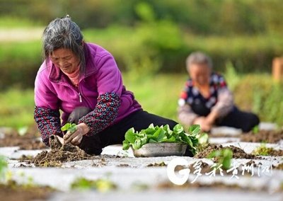 �����r��������I���aæ