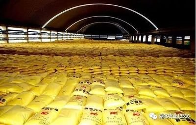 ��ǧ���M(j��n)�ڏ�(f��)�Ϸ��\(y��n)���(zh��n)������ʡ��(n��i)����