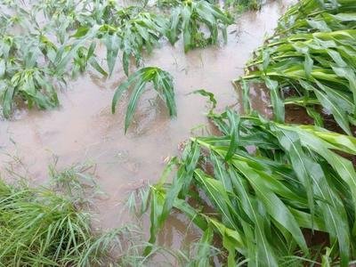 �r�I(y��)�r�岿 �Ї�����֣��Mһ�������r�I(y��)������Ĝp�Ĺ���