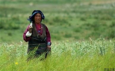 �����������΅^(q��)���ƏV���f���߮a(ch��n)������Ʒ�N