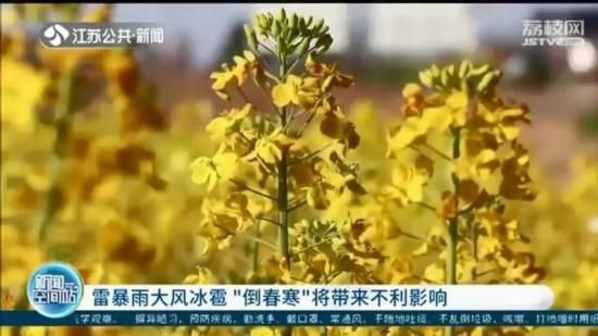 ���������ˣ����K�r(n��ng)�I(y��)�r(n��ng)�岿�T�@�Ӿo������