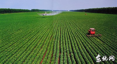 �������ӏ�(qi��ng)�{(di��o)��ָ��(d��o)���ϼZʳ��ȫ