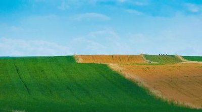 �½�����Ȍ�����300�f���ߘ˜��r��