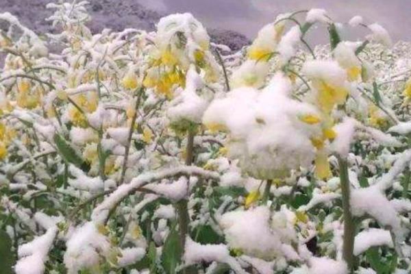 �����r���꼊����������������������