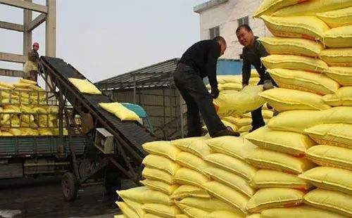 �A���������M�������p���������֪��������������ӣ�