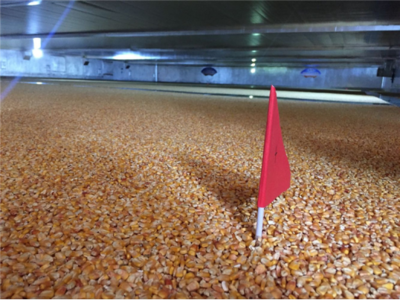 ������Z�}������ס��