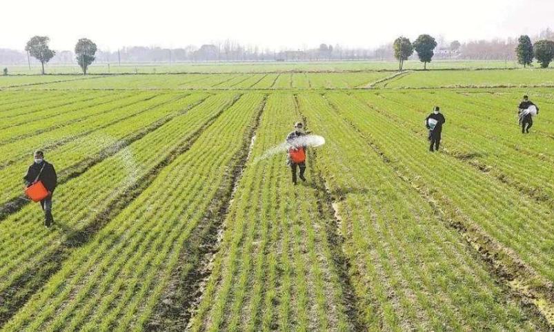 �����A�� �ƌW���� ���gָ�� ������ʡ�r�I�r�岿�Tȫ���Ը��ٴ���