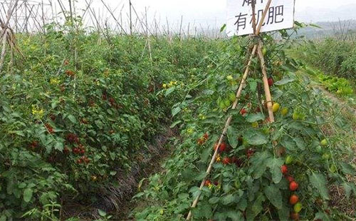 �ИI(y��)�ֻ��l(f��)չ���ЙC(j��)����I(y��)����Ҝ�(zh��n)��λ��