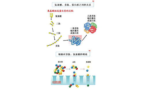 ��������~���׷��ϵđ�(y��ng)�ìF(xi��n)���cǰ��