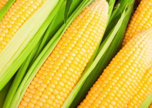 �����ƏV���rʳ���ף���݆���ƣ��r�����������p���ơ�