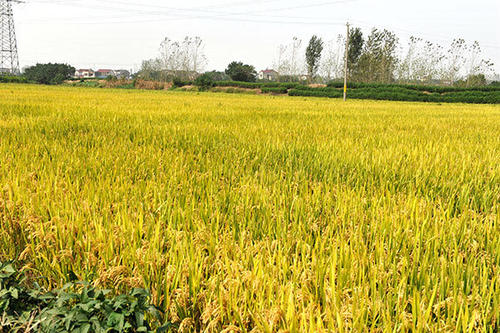 �Ž���ˮ����(c��)��ʩ�ʼ��g(sh��)ʾ���^Ħ�����ʜp����Ч�������M(j��n)��(hu��)����ɿh���_