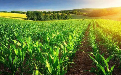 ��һ������ ���׏ͷ��ИI����ô�ߣ�