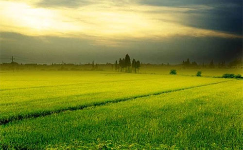 δ��7��������ό����l���L��