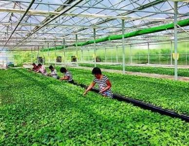 ����ʡ�r(n��ng)�I(y��)�r(n��ng)��d�P(gu��n)��ӡ�l(f��)2020����˲��ЙC(j��)���������ԇ�c(di��n)������(sh��)ʩ�����ͻ��ʜp����Ч������(sh��)ʩ������֪ͨ