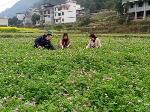 ���������ݷe�O���M(j��n)����ʹ��ؓ(f��)���L