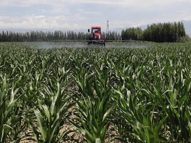 �ؑc�fʢ��(j��ng)�_�^(q��)���_ȫ�^(q��)Ҏ(gu��)ģ�Nֲ�������r(n��ng)ˎ�p��ʹ�ü��g(sh��)��Ӗ(x��n)��(hu��)