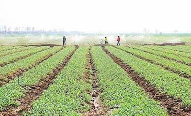 �r�I�r�岿���P�ڔU���ЙC���������ԇ�c�������h�Ļ؏�