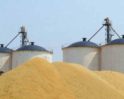 �Ї��Z���Lʲô�ӣ��Zʳ���Ӄ�����̽�L������Z�}��