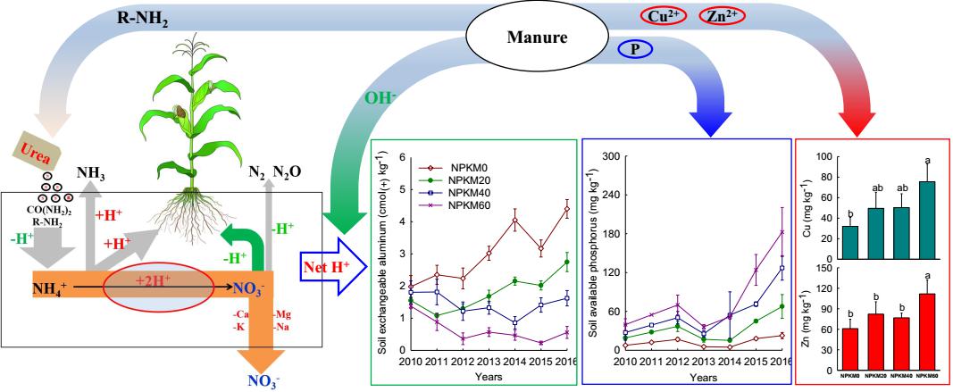 �������ʹ��������ЙC�ʷ��μt���ữЧ��