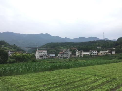 ���ϳ����� ʯ�T(m��n)�h����ˮ�(xi��ng)Ŀ��Ч�@���@�϶�