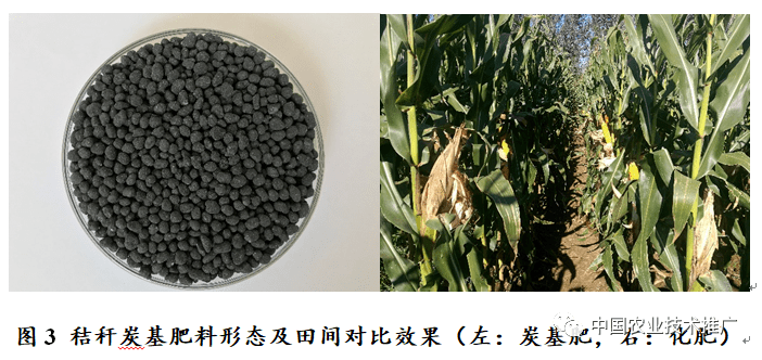 ��(n��i)�ɹ����΅^(q��)�ɆT���ӽն�̿����������Ч���g(sh��)�F(xi��n)����