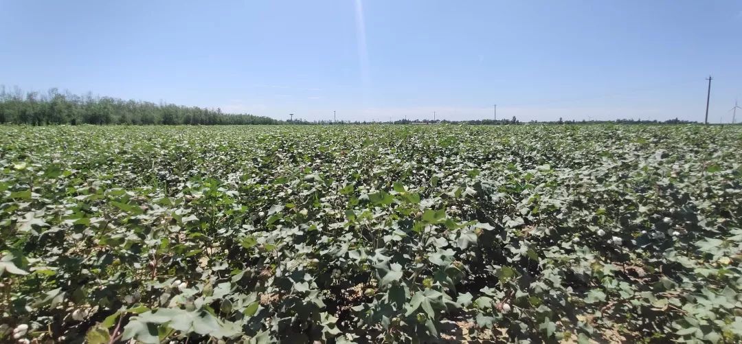 �޻������r(n��ng)ˎ�pʩ���g(sh��)�����cʾ��Ч��ͨ�^���ҙz�y