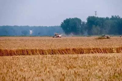 2021��С�������ُ�r1.13Ԫ/�����ϝq1����