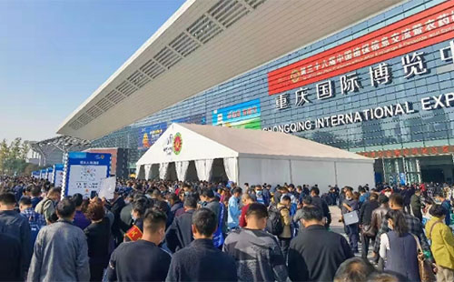 ��ֲ���p�����|�L����I�e�O̽�����°lչ֮·��