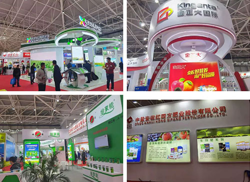 �׏ͷʕ�8�����c��׌���AҊ2021���У�