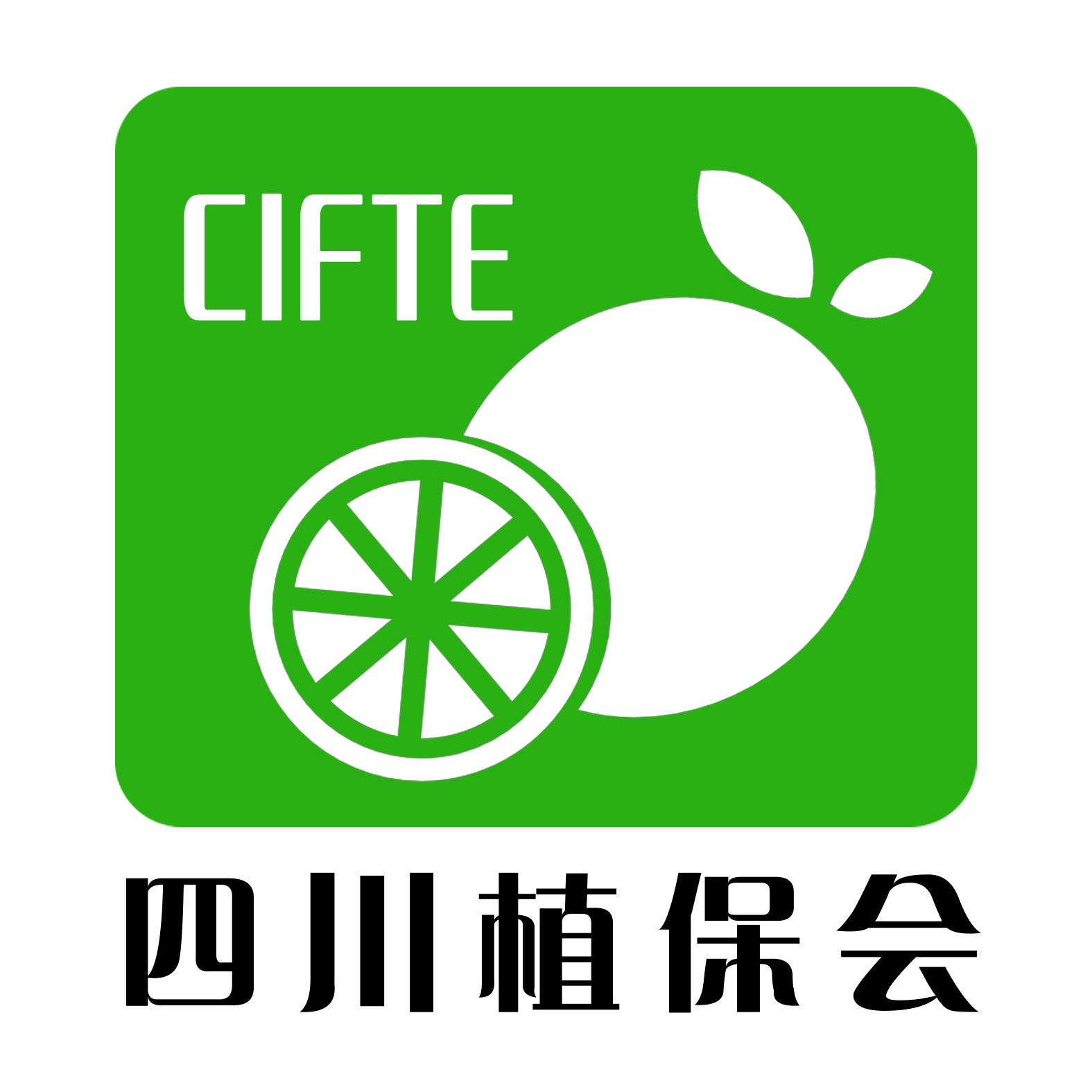 2021��ʮһ���Ĵ�ֲ����Ϣ�������r(n��ng)ˎе���ו�