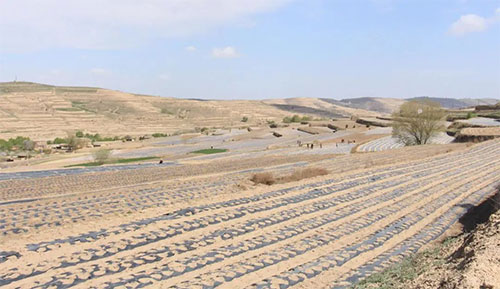 �Zʳ�ļZʳ�����ۣ���ȫ��o(w��)���ʡ�����(zh��ng)�h