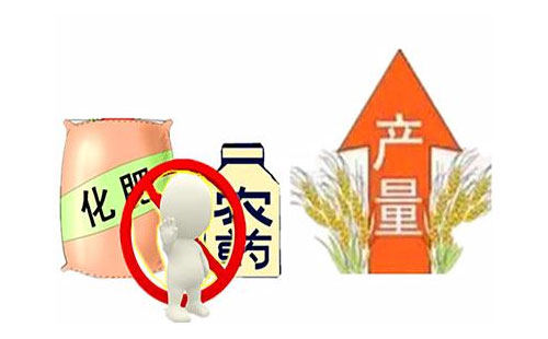 ��һ���С����û����r(n��ng)ˎ���F(xi��n)�������ƌW(xu��)