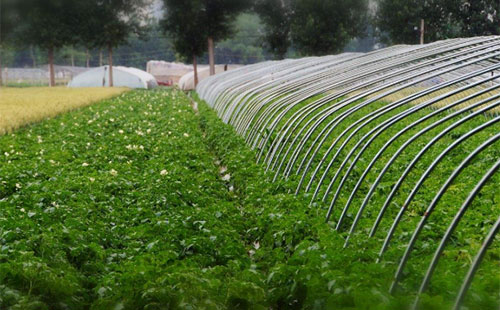 �a(ch��n)ֵ���_(d��)3600�|���ЙC(j��)�ʮa(ch��n)�I(y��)�����󱬰l(f��)��δ���،��ʬF(xi��n)�@3��څ��