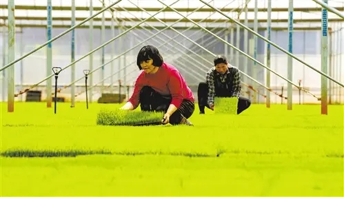 ���Ք����@ʾ��һ�����r�Y�������� ����ȫ��չ�_