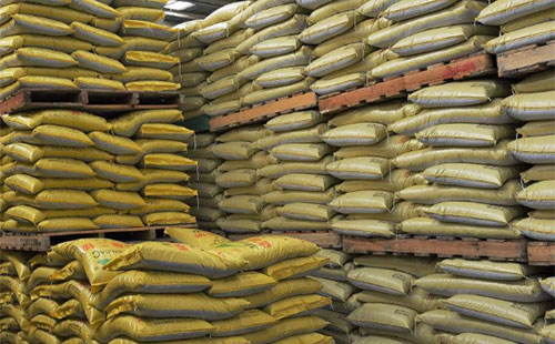 ���������ڼ��������ǡ��ȡ�߀�ǡ��ɡ�? ����ǡ��ɡ���ԓ��θɣ�