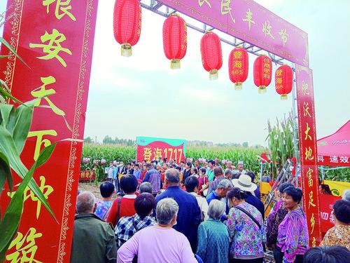 ���N+����+�������S��