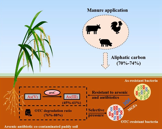 �о���ʾ�S��߀���������������-�ؽ��مf(xi��)ͬ�wڅ��Ӱ푙C��