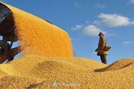 �Z�r�M��ʳƷ�r��ָ��5��С���½�