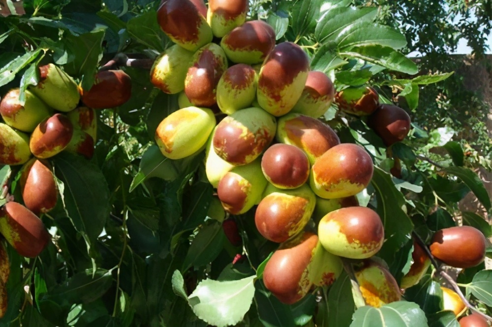 ����ʲô�r�g׷�ʣ�ԓʩʲô�ӵķʣ�