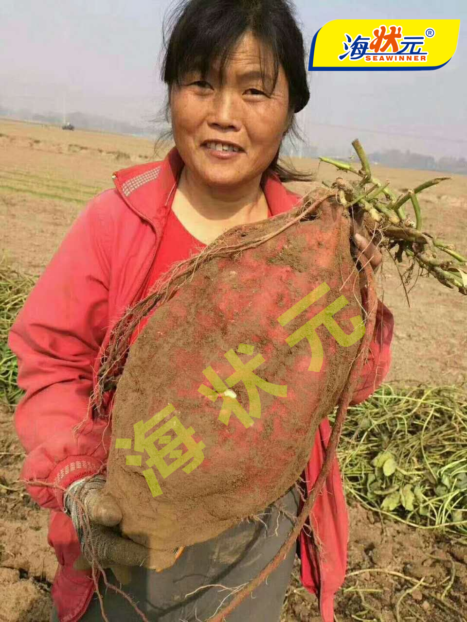 �H���T���@�F���ع��������_22.8�