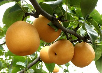 �ɿ�����(sh��)�F(xi��n)�˸��������