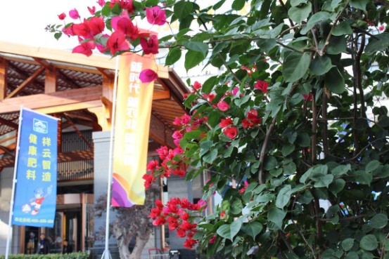 Փ������ɽ��   ���ƽ�����Ц���r�Y����36.jpg