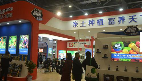 ����������ȫ��ֲ���p����