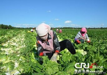 ����������߲˳���