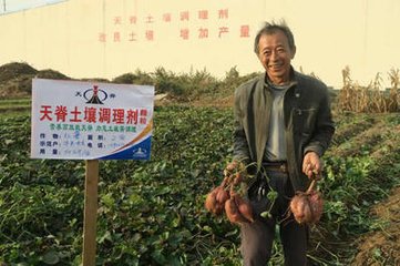 �켹���{�������x�h�S��