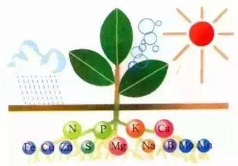 ���������B���V��������Ч