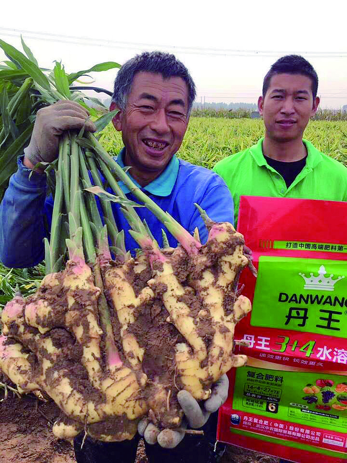 �������� �a�������